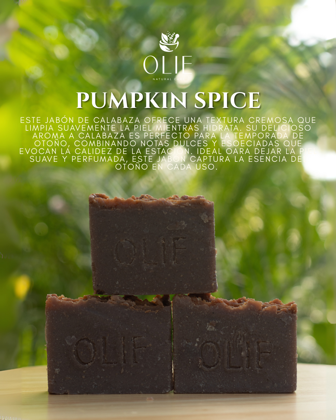 Pumpkin Spice Soap