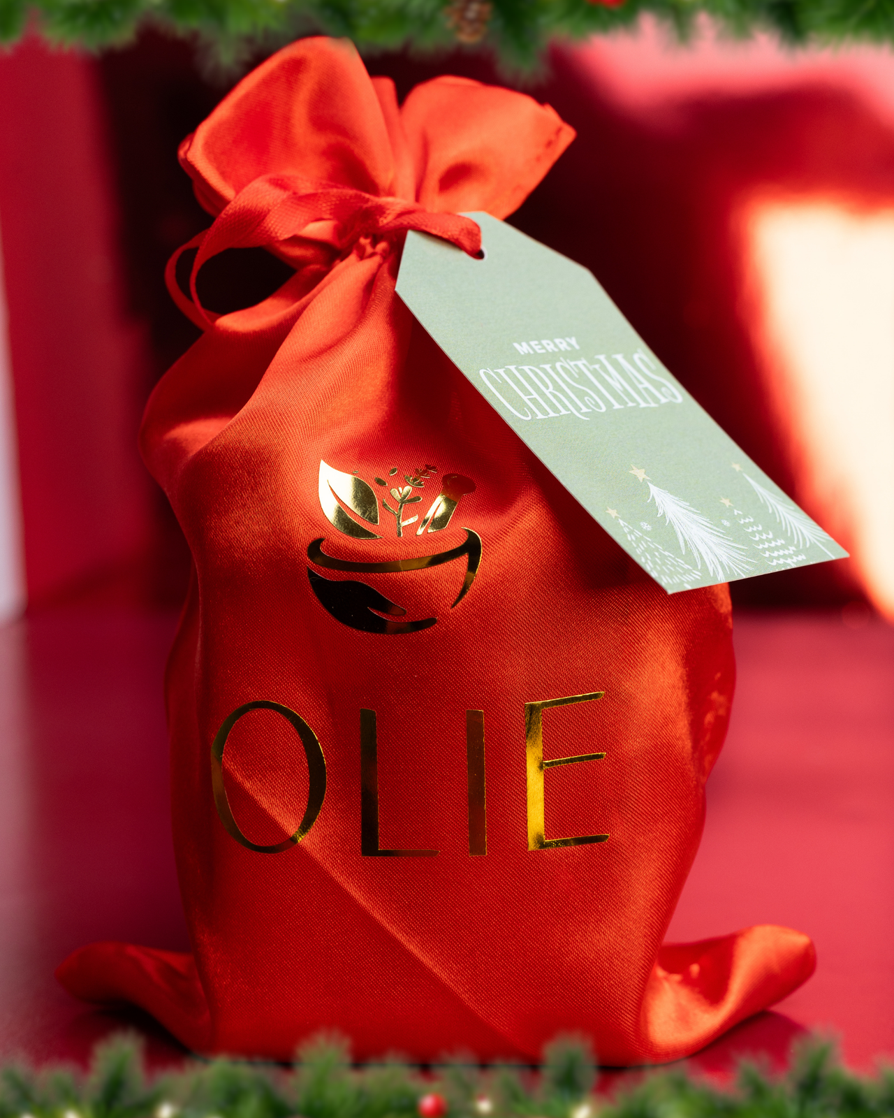 Christmas Gift Body Care